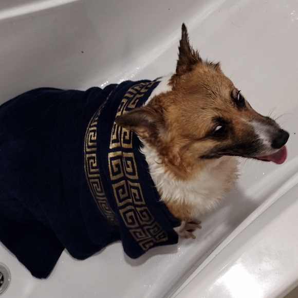 Luxury items, designer products and Model Train collectibles - Picture 2 of 4